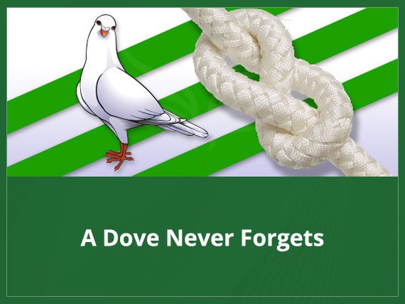 A Dove Never Forgets