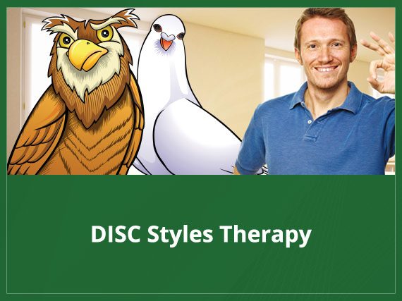 DISC Styles Therapy