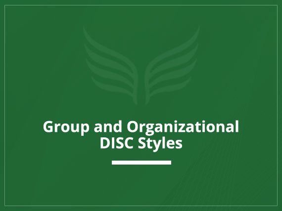 Group and Organizational DISC Styles