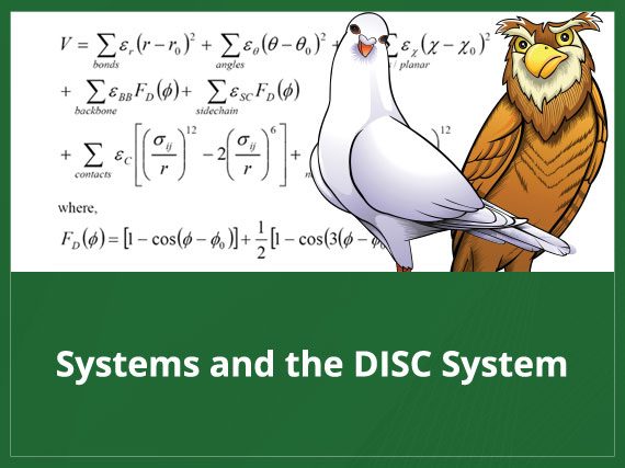 Systems and the DISC System