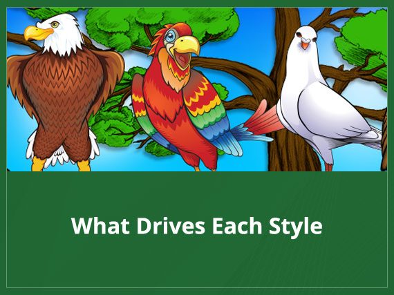 What Drives Each Style