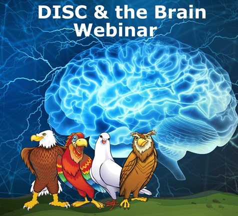 DISC and the Brain Webinar brain picture with Birds