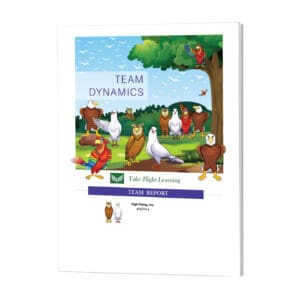 Team Dynamics Report