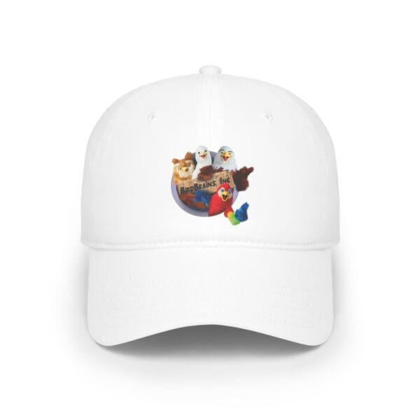 All 4 Birds on Baseball Cap
