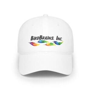 BirdBrains, Inc. on Baseball Cap