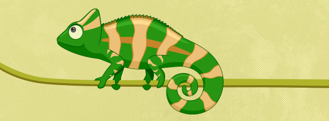 chameleon on a branch